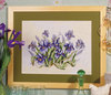 Puple Irises