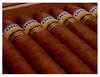 сигару Cohiba Piramides (Limited Edition)