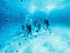 Курсы Global Underwater Explorers