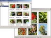 Распечатать фотографии
