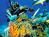 Курс подводного плаванья в Эйлате