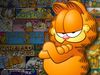 одежда, аксессуары с Garfield