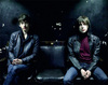the last shadow puppets