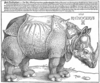 копия гравюры Дюрера Rhinocerus мегачеткого исполнения