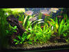 Маленький аквариум с крышкой, светом и фильтром