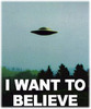 Постер "I want to believe"