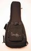 Brian May Guitars gig bag