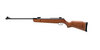 Gamo Hunter 440