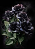 "Black imitation rose"