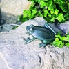 Mischievous Frog Bronze Garden Statue