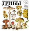 Грибы: 250 видов съедобных, ядовитых и лечебных грибов, Сергеева М.Н.