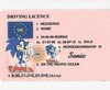 driving licence