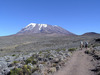 Покорить Килиманджаро