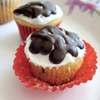 chocolate truffle cupcakes