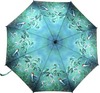 Красивый зонтик с рисунком