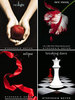 Twilight Saga by Stephenie Meyer