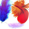 Разноцветные перья