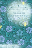 Александр Етоев "Человек из паутины"