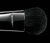 MAC 227 eye brush