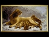 Гобелен - картина Львица с львятами