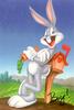 to be a mr.Bugs Bunny