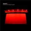 Interpol - Turn on the Bright Lights (CD)