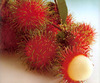 Рамбутан ( RAMBUTAN )