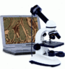 микроскоп LEVENHUK DuoScope D2L Digital