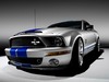 Mustang GT500KR