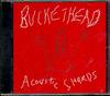 Buckethead - Acoustic Shards