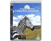Hakuna Matata (PS 3)