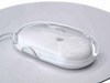 Apple mouse