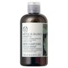 Nettle Oil Balance Shampoo