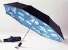 Sky Umbrella