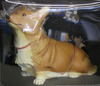 Ein Completed