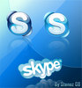 чтобы Ирина posle_dojdika установила skype