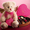 Godiva bear