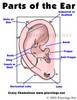 Пирсинг козелка (tragus)