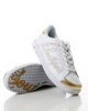 POLAR GOLD