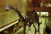 палеонтологический музей