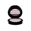 GIORGIO ARMANI Limited-Edition Pink Light Palette