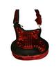 Sexy Red Guitar Bag!