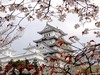 Япония, цветение сакуры