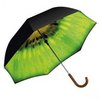 зонт с каким-нибудь офигительным принтом