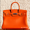 Birkin