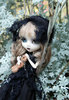 Pullip Noir