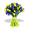 букет желтых тюльпанов с синими ирисами