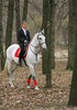принц на белом коне