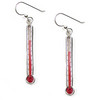 Thermometer Earrings