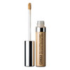 Concealer - Clinique